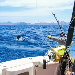 Deep sea fishing in Cabo San Lucas