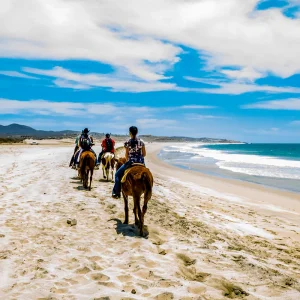 Cabo San Lucas horse back riding