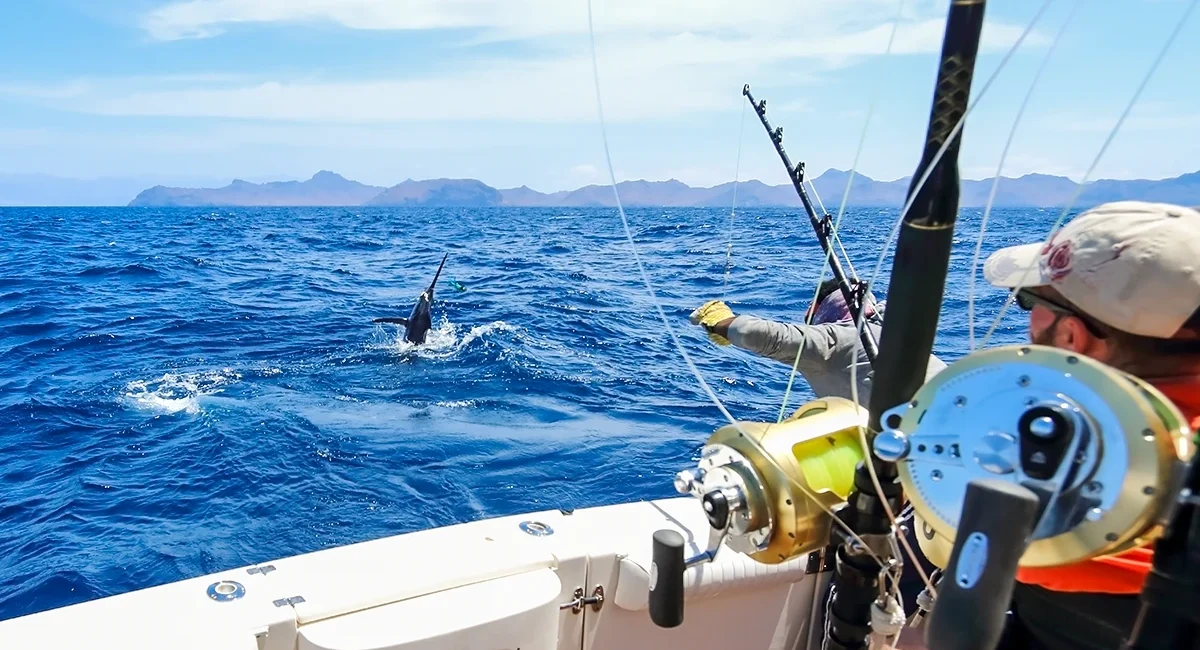 Deep sea fishing in Cabo San Lucas