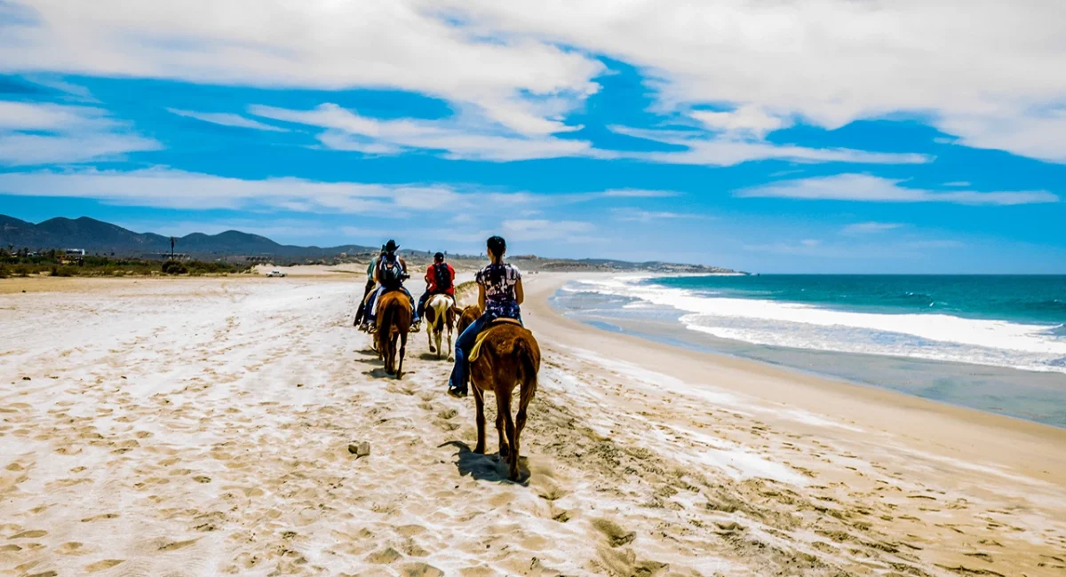 Cabo San Lucas horse back riding